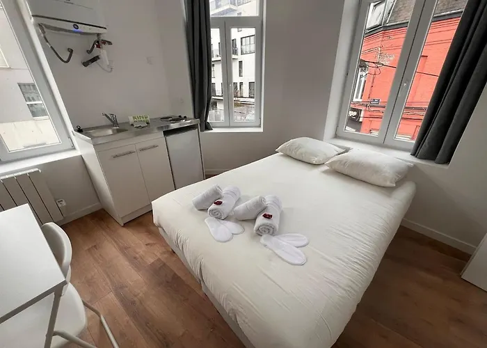Maisons Des Gemmes Divisés En 9 Lille